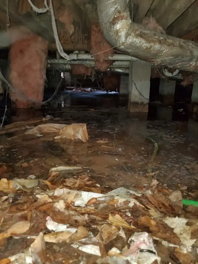 Crawl space flood assessment for Commercial Water Damage Restoration in Tupelo